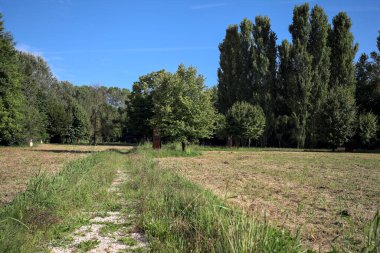 Çimlerle çevrili çakıl taşlı bir patika. Kenarında bir ağaç var. Güneşli bir günde, İtalya 'nın kırsal kesiminde bir parkın içinden geçiyor.