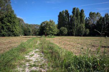 Çimlerle çevrili çakıl taşlı bir patika. Kenarında bir ağaç var. Güneşli bir günde, İtalya 'nın kırsal kesiminde bir parkın içinden geçiyor.