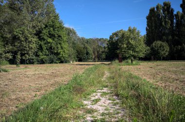 Çimlerle çevrili çakıl taşlı bir patika. Kenarında bir ağaç var. Güneşli bir günde, İtalya 'nın kırsal kesiminde bir parkın içinden geçiyor.