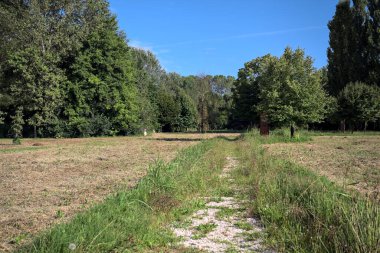 Çimlerle çevrili çakıl taşlı bir patika. Kenarında bir ağaç var. Güneşli bir günde, İtalya 'nın kırsal kesiminde bir parkın içinden geçiyor.