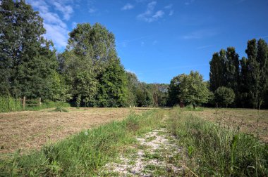 Çimlerle çevrili çakıl taşlı bir patika. Kenarında bir ağaç var. Güneşli bir günde, İtalya 'nın kırsal kesiminde bir parkın içinden geçiyor.