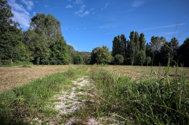 Çimlerle çevrili çakıl taşlı bir patika. Kenarında bir ağaç var. Güneşli bir günde, İtalya 'nın kırsal kesiminde bir parkın içinden geçiyor.
