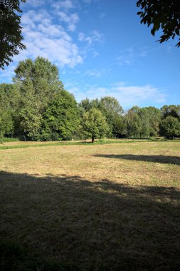 Çimlerle çevrili çakıl taşlı bir patika. Kenarında bir ağaç var. Güneşli bir günde, İtalya 'nın kırsal kesiminde bir parkın içinden geçiyor.