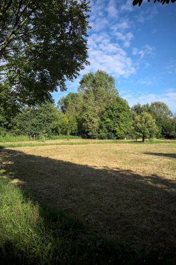 Çimlerle çevrili çakıl taşlı bir patika. Kenarında bir ağaç var. Güneşli bir günde, İtalya 'nın kırsal kesiminde bir parkın içinden geçiyor.