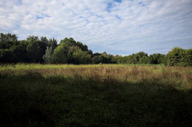 Ağaçlarla çevrili ekilmemiş çimen tarlası ve üzerinde bulutlu bir gökyüzü olan bir gölgeyle bölünmüş.