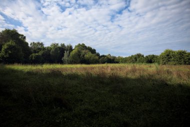Ağaçlarla çevrili ekilmemiş çimen tarlası ve üzerinde bulutlu bir gökyüzü olan bir gölgeyle bölünmüş.