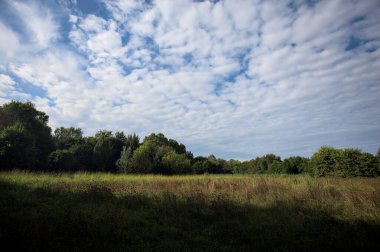 Ağaçlarla çevrili ekilmemiş çimen tarlası ve üzerinde bulutlu bir gökyüzü olan bir gölgeyle bölünmüş.