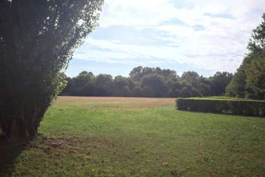 Uzakta ağaçlarla çevrili bir parkta güneşle aydınlatılmış ve kavak ağacı çerçeveli bir alanda.