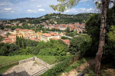 Güneşli bir günde bir ormanla kaplı bir tepeye tırmanan bir kasabanın binaları