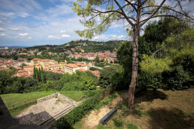 Güneşli bir günde bir ormanla kaplı bir tepeye tırmanan bir kasabanın binaları