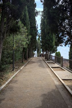 Güneşli bir günde, tepedeki parkta selvi ağaçları arasındaki patika.