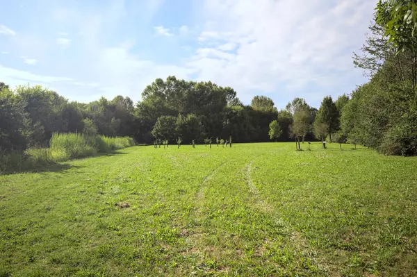 Uzakta büyüyen ağaçlarla dolu bir tarla güneşli bir günde bir ormanla çevrili.