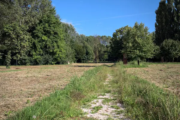 Çimlerle çevrili çakıl taşlı bir patika. Kenarında bir ağaç var. Güneşli bir günde, İtalya 'nın kırsal kesiminde bir parkın içinden geçiyor.