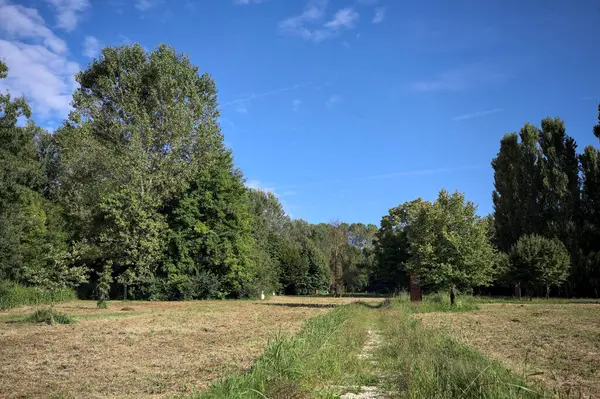 Çimlerle çevrili çakıl taşlı bir patika. Kenarında bir ağaç var. Güneşli bir günde, İtalya 'nın kırsal kesiminde bir parkın içinden geçiyor.