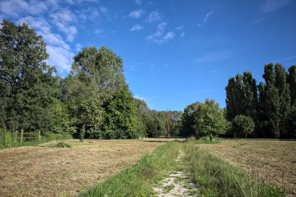 Çimlerle çevrili çakıl taşlı bir patika. Kenarında bir ağaç var. Güneşli bir günde, İtalya 'nın kırsal kesiminde bir parkın içinden geçiyor.