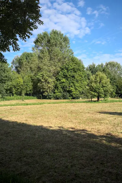 Çimlerle çevrili çakıl taşlı bir patika. Kenarında bir ağaç var. Güneşli bir günde, İtalya 'nın kırsal kesiminde bir parkın içinden geçiyor.