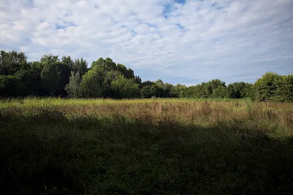 Ağaçlarla çevrili ekilmemiş çimen tarlası ve üzerinde bulutlu bir gökyüzü olan bir gölgeyle bölünmüş.