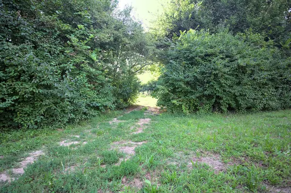 Gün ışığında ağaçların arasında kemerli bir geçit.