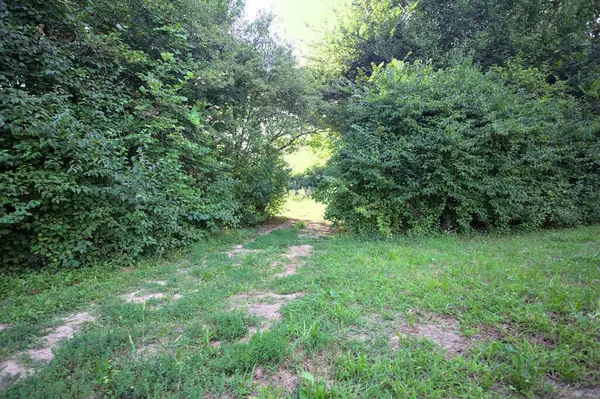 Gün ışığında ağaçların arasında kemerli bir geçit.