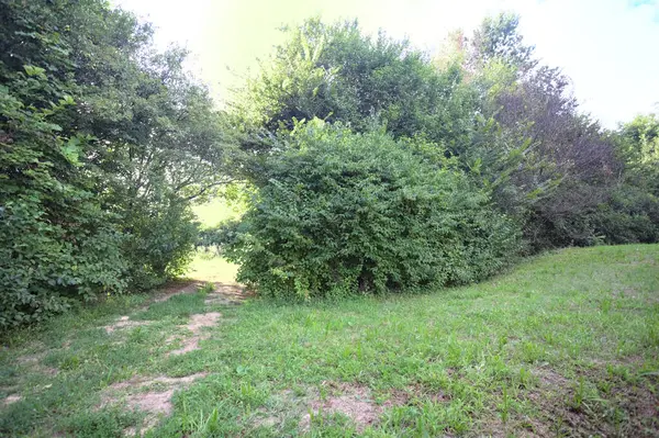 Gün ışığında ağaçların arasında kemerli bir geçit.