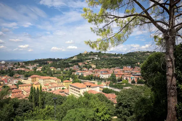 Güneşli bir günde bir ormanla kaplı bir tepeye tırmanan bir kasabanın binaları