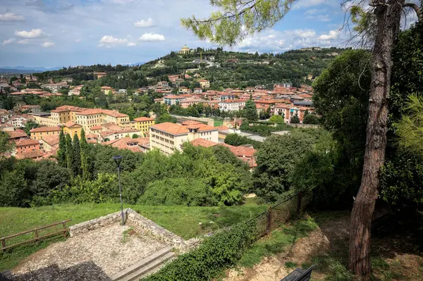 Güneşli bir günde bir ormanla kaplı bir tepeye tırmanan bir kasabanın binaları