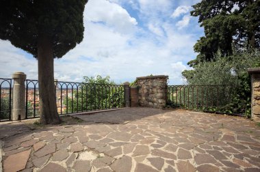 Teras, üzerinde kısmen bulutlu bir gökyüzü olan bir ağaçla çevrili.