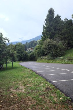 Orman ağaçlarıyla çevrili hafif yağmurlu bir günde inen dağ yolu.