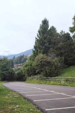 Orman ağaçlarıyla çevrili hafif yağmurlu bir günde inen dağ yolu.