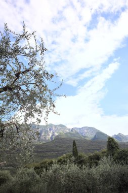 Aşağıdan görünen dağ sırtı ve kısmen bulutlu bir günde ağaçlar tarafından çerçevelenmiş.