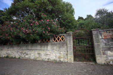 Paslı bir kapı eskimiş bir beton duvarın içinde. Arkasında da bulutlu bir günde asfalt bir patikanın kenarında bir bahçe var.