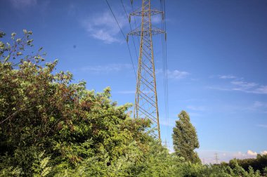 Yanı başında direği olan bitkilerle çevrili bir patika ve gün batımında İtalya 'nın kırsal kesimindeki bir eğlence kanalının kenarında bir elektrik hattı var.
