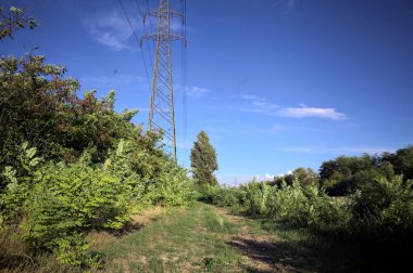 Yanı başında direği olan bitkilerle çevrili bir patika ve gün batımında İtalya 'nın kırsal kesimindeki bir eğlence kanalının kenarında bir elektrik hattı var.