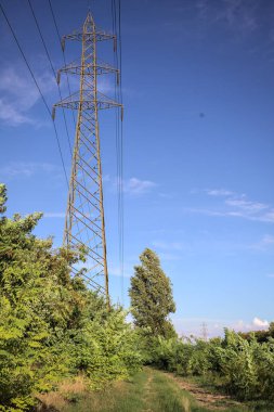 Yanı başında direği olan bitkilerle çevrili bir patika ve gün batımında İtalya 'nın kırsal kesimindeki bir eğlence kanalının kenarında bir elektrik hattı var.