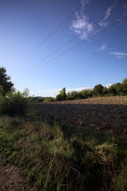 Bir korulukla çevrili tarla ve bitkilerle dolu bir patika ve güneş batarken İtalya 'nın kırsal kesimlerinde güneş tarafından kontra aydınlatmalı bir elektrik direği.