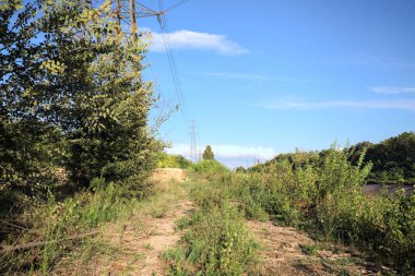 Yanı başında direği olan bitkilerle çevrili bir patika ve gün batımında İtalya 'nın kırsal kesimindeki bir eğlence kanalının kenarında bir elektrik hattı var.