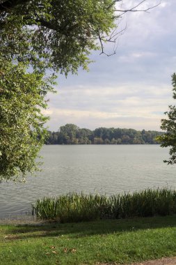 Bulutlu bir günde göl karşı kıyıya görünür ve iki ağaç tarafından çerçevelenir