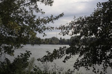 Bulutlu bir günde göl karşı kıyıya görünür ve iki ağaç tarafından çerçevelenir