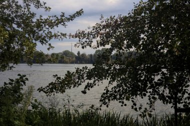 Bulutlu bir günde göl karşı kıyıya görünür ve iki ağaç tarafından çerçevelenir