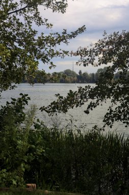 Bulutlu bir günde göl karşı kıyıya görünür ve iki ağaç tarafından çerçevelenir