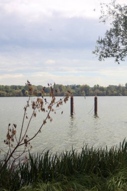 Bulutlu bir günde, kıyıdan görünen ve ağaçlar ve bitkiler tarafından çerçevelenen bir gölde demirleme direkleri.