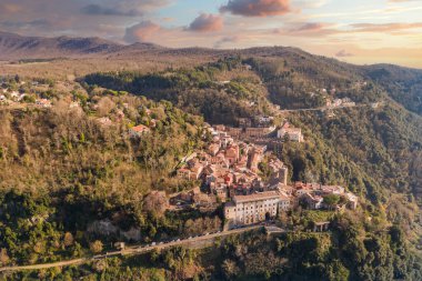 aerial view of the town of nemi