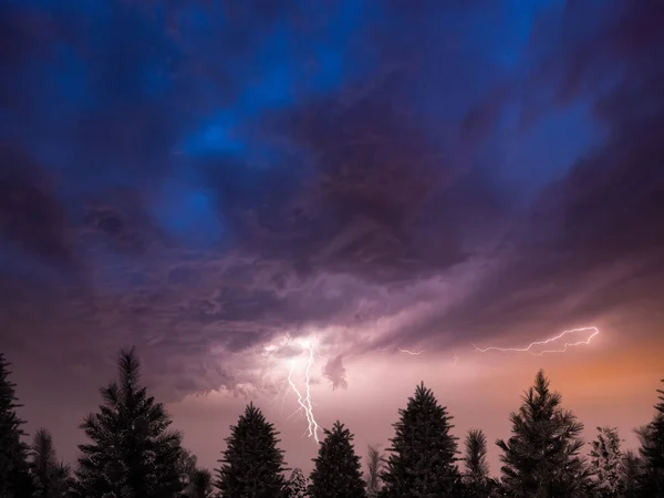 Önplanda yıldırım ve köknar ağaçları olan fırtınalı gökyüzü