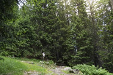 signs indicating the paths in Trentino