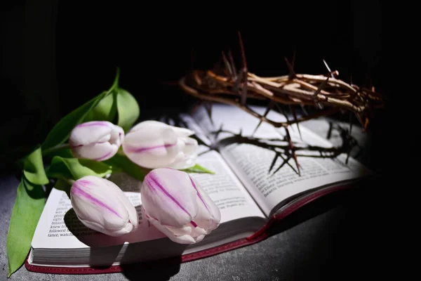 Grand Angle Couronne Épines Tulipes Sur Bible Ouverte — Photo