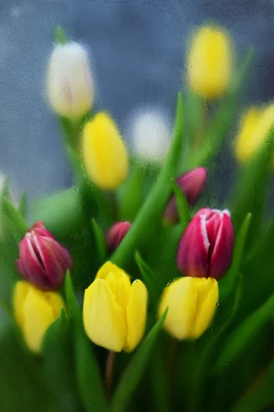 Абстрактні Барвисті Тюльпани Крізь Розмите Скло Рамці — стокове фото
