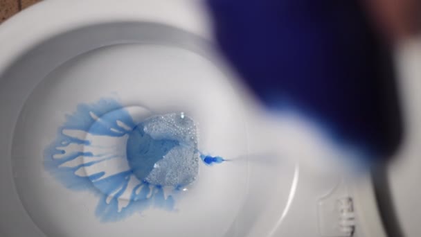Assista Como Limpador Toalete Azul Meticulosamente Derramado Vaso Sanitário Garantindo — Vídeo de Stock
