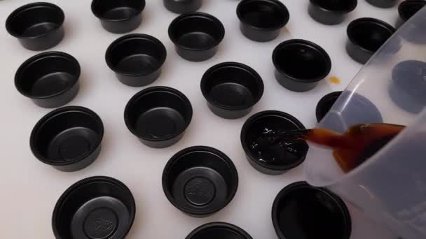 この魅惑的なシーンで 日本の料理の専門家は細心の注意を払って すべての料理が完璧に味付けされていることを保証する最愛の醤油の小さな黒い容器を満たします 皿に醤油を注ぐ概念 — ストック動画