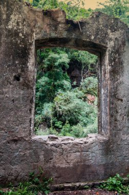 Ormandaki eski pencere.