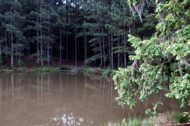 Güzel göl manzarası